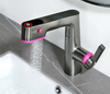 Fauce de bassin de fonction multiples avec pulvérisateur Gargle BF04001-BGM