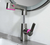 Fauce de bassin de fonction multiples avec pulvérisateur Gargle BF04001-BGM