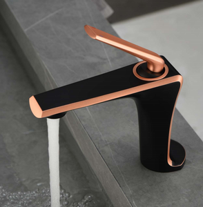 Robinet de bassin à poignée unique de style moderne BF01022-BRG