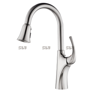 Vente en espèces Unique Brossed Placing Crown Crown Water Ridge Pull Down Kitchen Faucet 