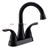 Robinet noir mat mortel morte pour les toilettes et la salle de bain
