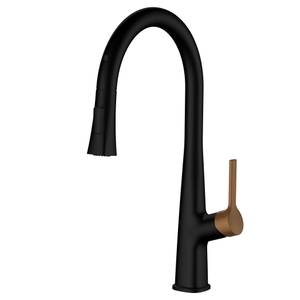 Robinet de cuisine sournois noire et or rose avec pulvérisateur