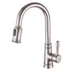 Sly Chrome Design moderne de haute qualité Robinet de robinet de cuisine pulvérisateur