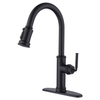 Robinet de cuisine sournois pulvérisateur
