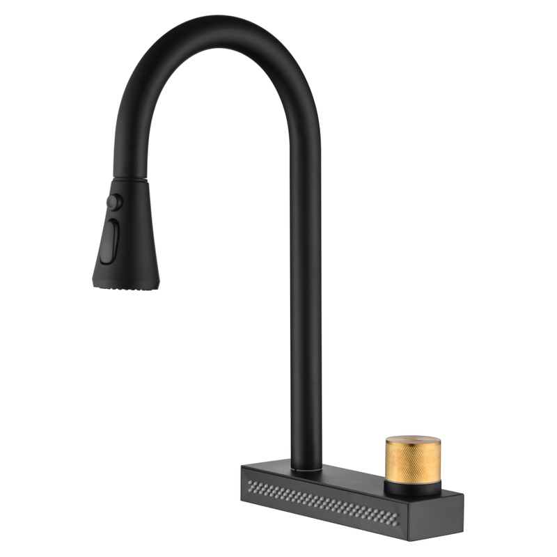 Spuleur de la cuisine noire mate noir