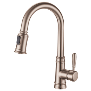Sly Chrome Design moderne de haute qualité Robinet de robinet de cuisine pulvérisateur