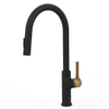 Robinet de lavabo sournois sournois avec montant mural pulvérisateur Robinet de cuisine