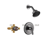 Robinet de douche sournois Set Wall Mount Moup Mélangeur en laiton