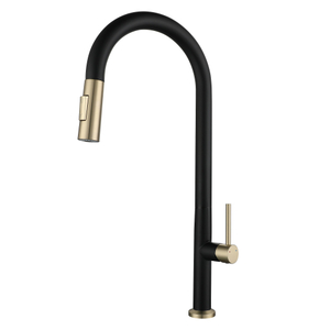 Robinette de cuisine de la cuisine noire mate noire mate
