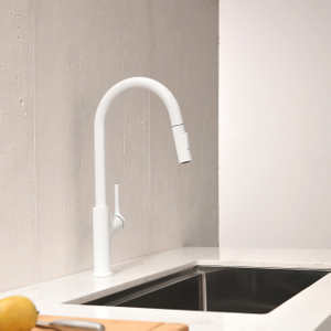 Robinet de lavabo sournois sournois avec montant mural pulvérisateur Robinet de cuisine
