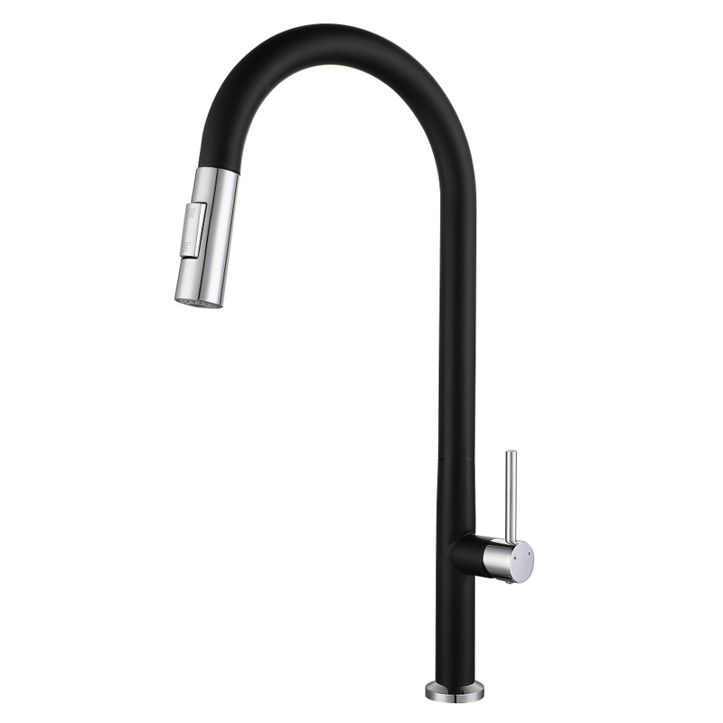 Robinette de cuisine de la cuisine noire mate noire mate