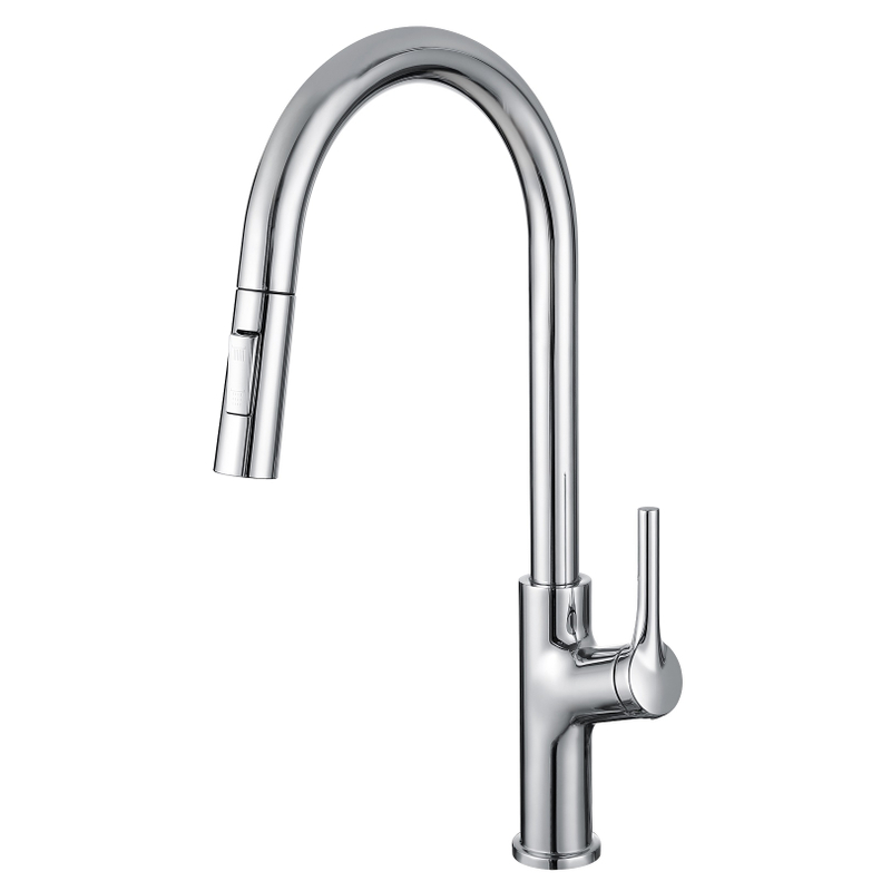 Robinet de lavabo sournois sournois avec montant mural pulvérisateur Robinet de cuisine