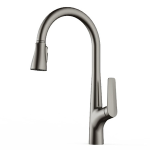 Sly Chrome Meilleur robinet de cuisine pulvérisateur