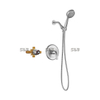 Ensemble de pommeau de douche en laiton brossé SLY Kit de garniture de douche de salle de bain