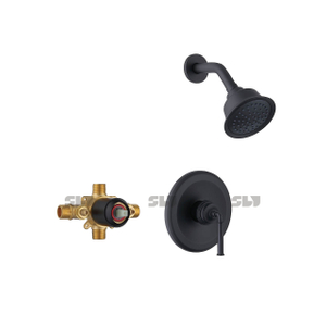 SLY Mitigeur Bain Douche Encastré au Mur Robinet de Douche Noir Mat Laiton