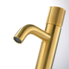 Boulangeur en laiton en laiton Brackaged Bascall Spout Bandleur Taps Gold Robinets Bathroom