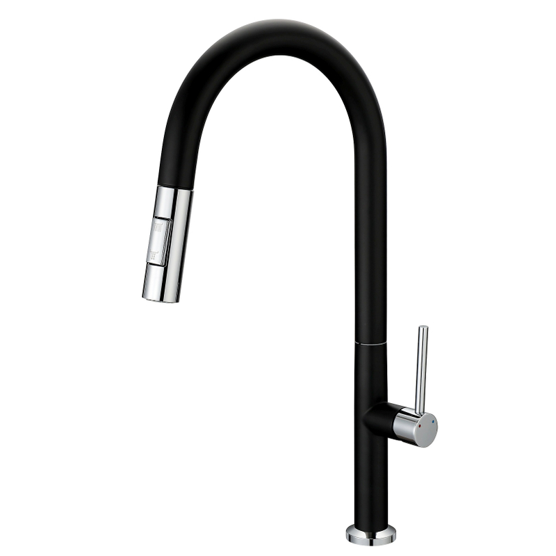 Robinette de cuisine de la cuisine noire mate noire mate